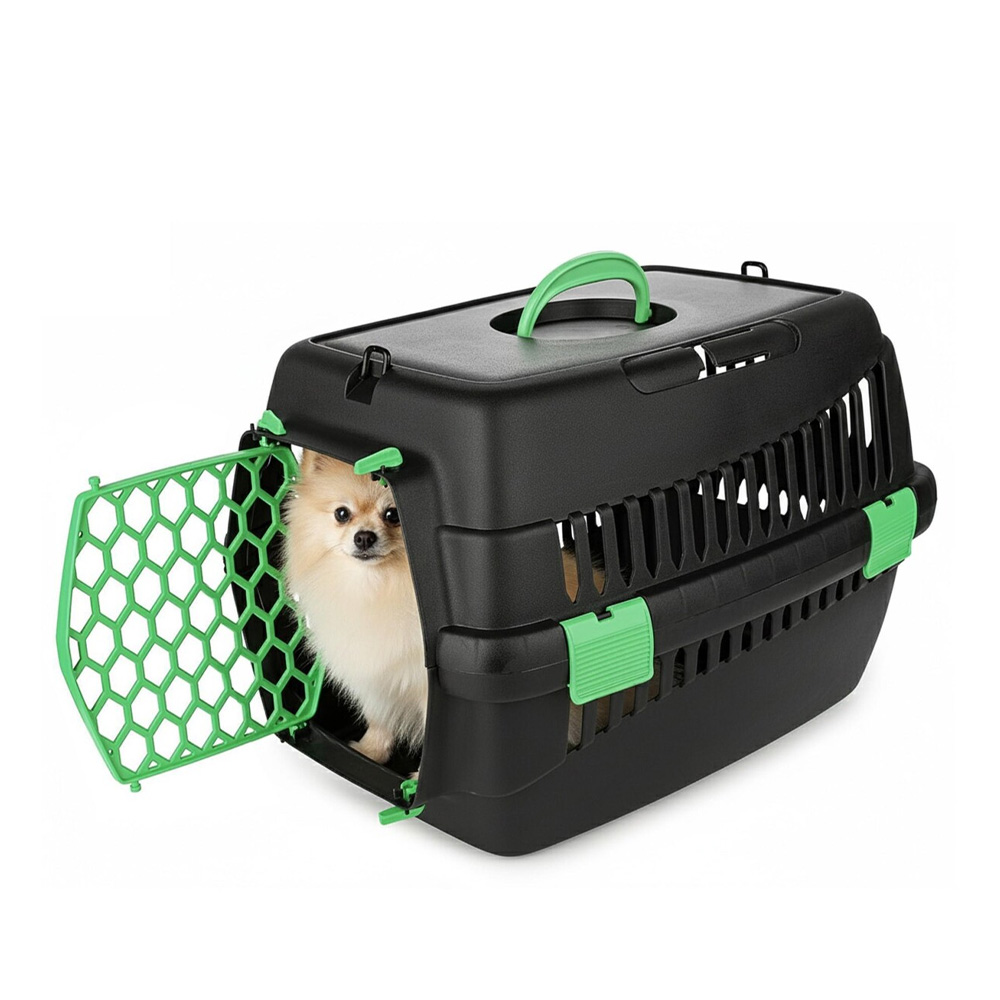 Happet Transporter Teddy M 42x30x30cm Zielony Plastikowy
